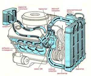Как циркулирует жидкость в системе охлаждения двигателя?